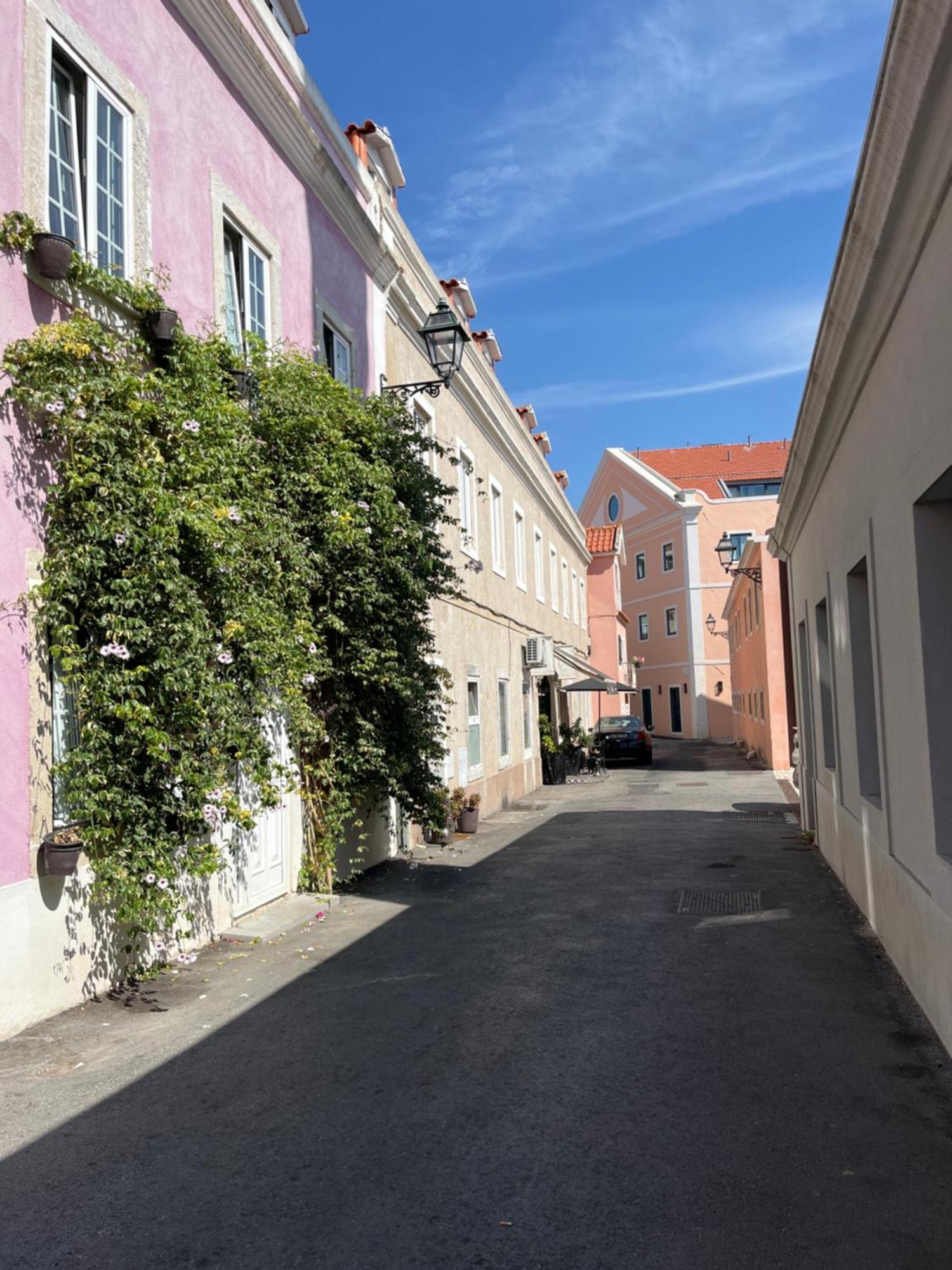 Casa Cor De Rosa Διαμέρισμα Lisboa Εξωτερικό φωτογραφία