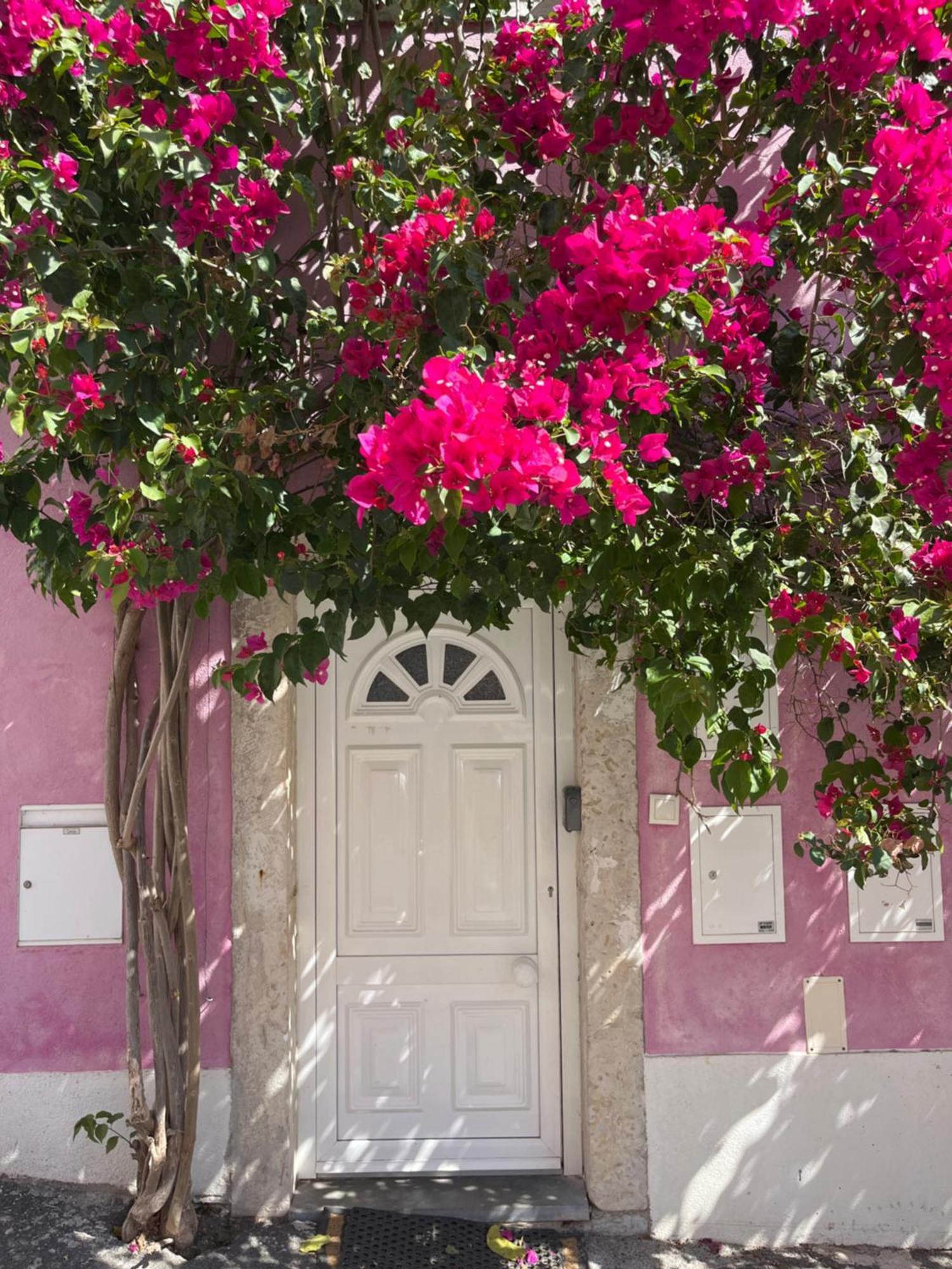 Casa Cor De Rosa Διαμέρισμα Lisboa Εξωτερικό φωτογραφία