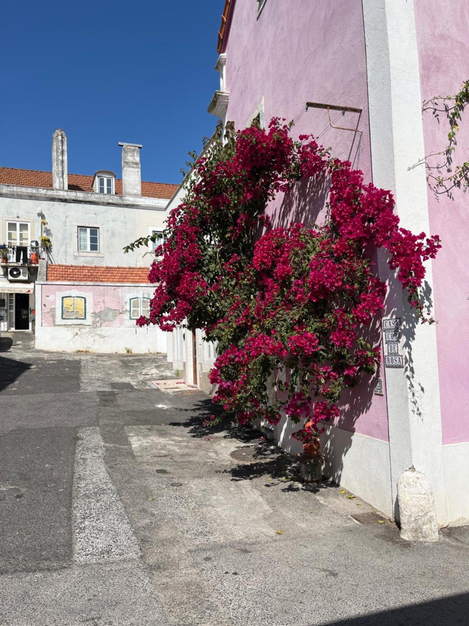 Casa Cor De Rosa Διαμέρισμα Lisboa Εξωτερικό φωτογραφία
