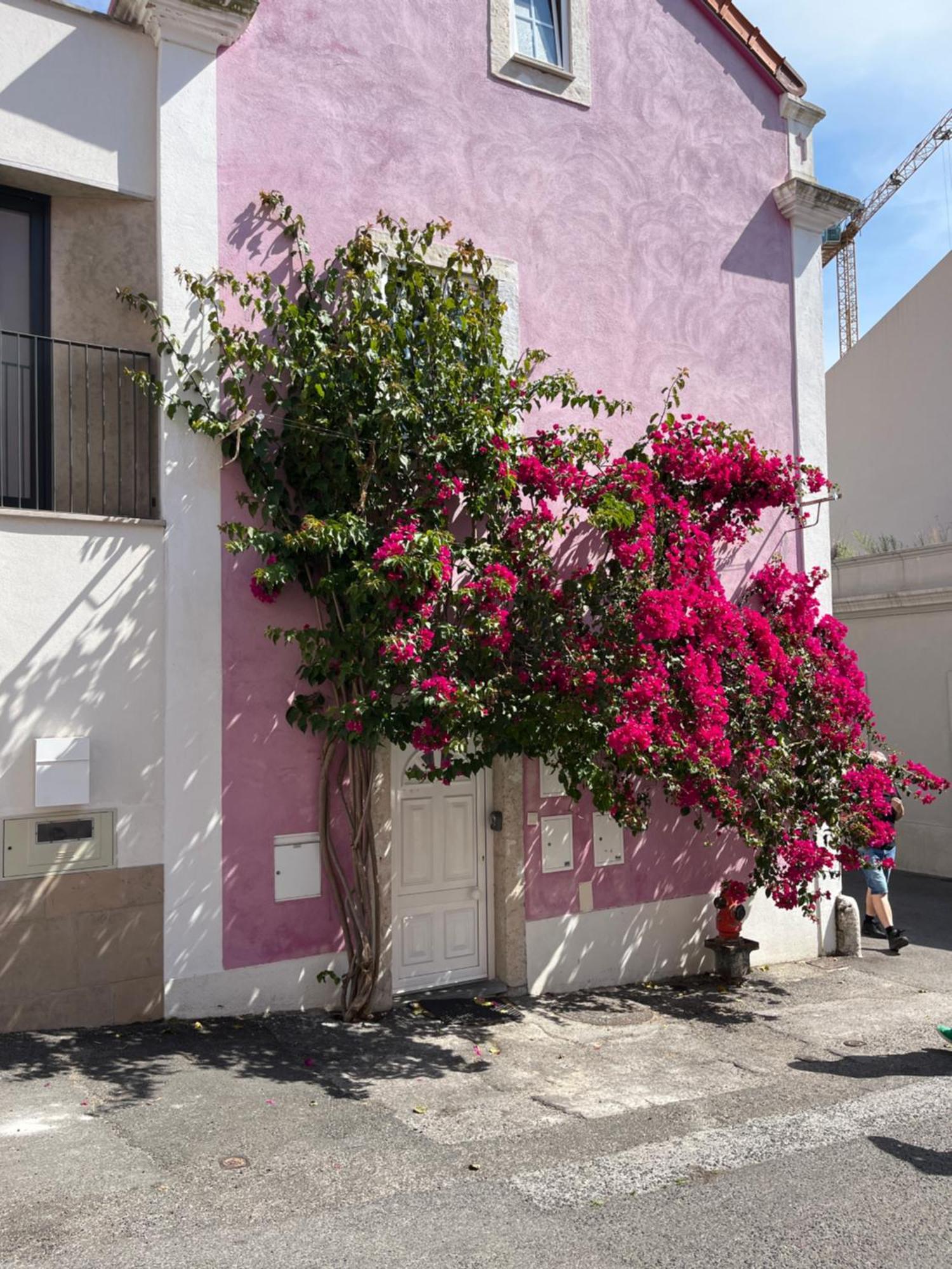 Casa Cor De Rosa Διαμέρισμα Lisboa Εξωτερικό φωτογραφία